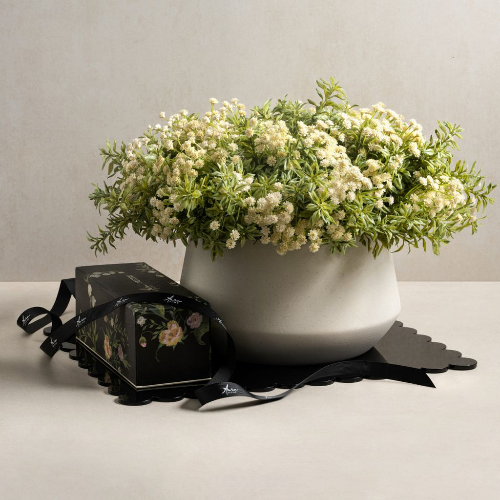 Flaura Baby Breaths Package